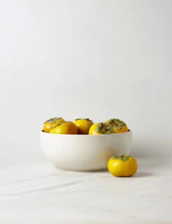 Pacifica Serving Bowl By Casafina