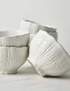 Aparte Fruit Bowls (Set Of 6) By Costa Nova -Restaurant Supplies Store CostaNovaAparteFruitBowls Setof6 5985 a3f4107f e6da 42cd a373 71eca395345b scaled