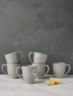 Friso Mugs (Set Of 2) By Costa Nova -Restaurant Supplies Store CostaNovaFrisoMugs Gray Setof6 0220 dec08041 8367 47a7 a029 4ca3b04999b8 scaled