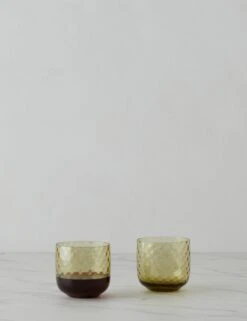 Dapple Tumbler (Set Of 2) By LSA International 15 Dapple Tumbler (Set Of 2) By LSA International -Restaurant Supplies Store DappleTumbler WoodlandGreenbyLSAInternational A0655655 17554 scaled