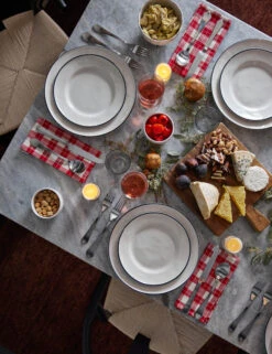 Gingham Napkins (Set Of 4) By Heather Taylor Home -Restaurant Supplies Store DiningOverhead2 15647 3 Swatch SITECROP scaled