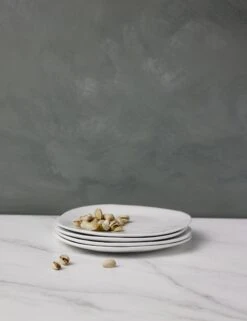 Organic Salad Plates (Set Of 4) By Hawkins New York