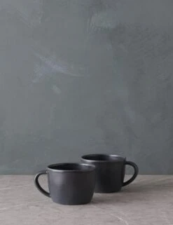 Livia Mug (Set Of 2) By Costa Nova -Restaurant Supplies Store LiviaMug Setof2 byCasafina Black L0467327 2026 scaled