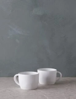 Livia Mug (Set Of 2) By Costa Nova