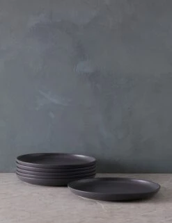 Pacifica Dinner Plates (Set Of 6) By Casafina -Restaurant Supplies Store PacificaDinnerPlates Setof6 byCasafina SeedGray A06558281582 scaled