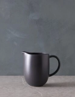 Pacifica Pitcher By Casafina -Restaurant Supplies Store PacificaPitcherbyCasafina SeedGray L04672641634 scaled