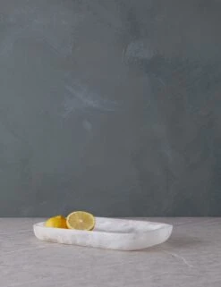 Rectangular Platter By Atlawa -Restaurant Supplies Store RectangularPlatterbyAtlawa Large Frost 15465 scaled