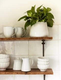 Friso Creamer, White By Costa Nova -Restaurant Supplies Store TabletopShelfHero 11922 SITECROP d11e9a42 1895 45f8 b4d2 324b53b56198 scaled