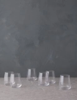 Vine Tumblers (Set Of 6) By Costa Nova