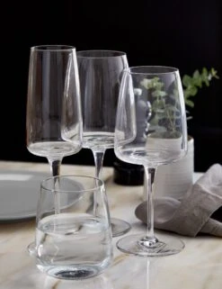 Vine Wine Glasses (Set Of 6) By Costa Nova -Restaurant Supplies Store costa nova vine lifestyle image 5 Product scaled
