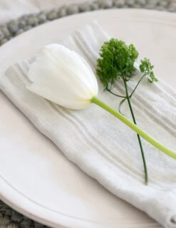 Mendocino Napkins (Set Of 4) By Pom Pom At Home 7 Mendocino Napkins (Set Of 4) By Pom Pom At Home -Restaurant Supplies Store mendocino lifestyle copy